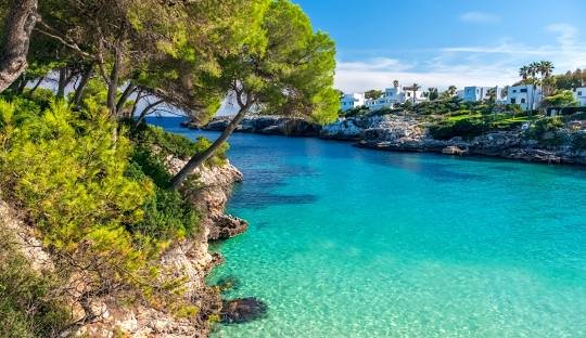 Where to Buy Cocaine in Mallorca